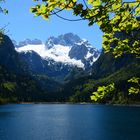 Der Gosausee mit Blick zum Dachstein