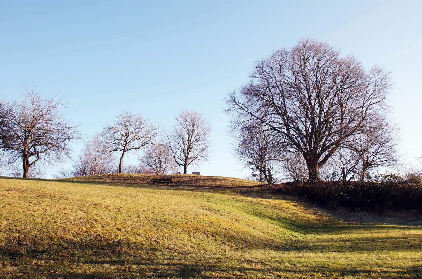 der Grafenberg