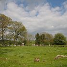 Der Grange Stone Circle II...