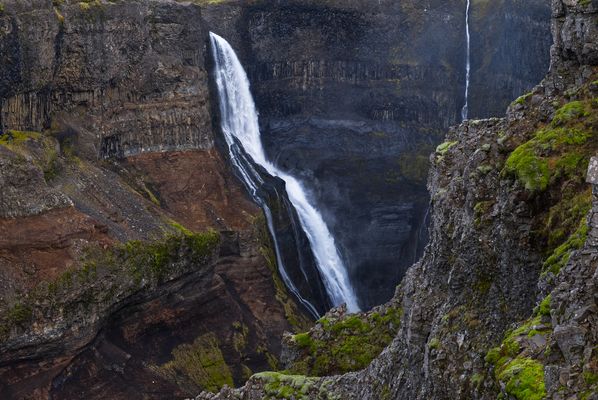 Der Granni (Nachbar)