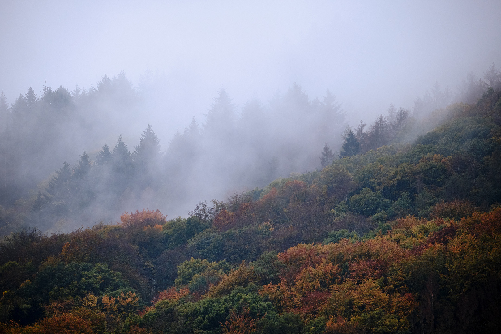 Der graue Herbst, Teil 3