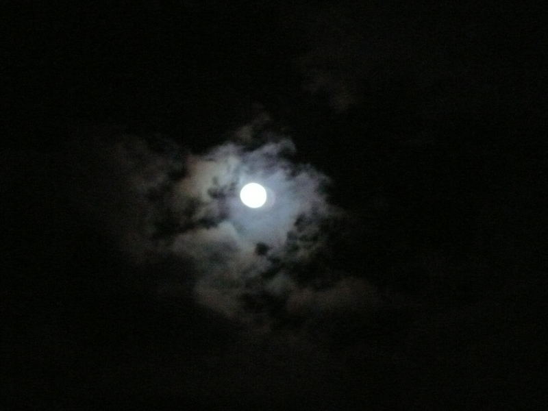 Der graue Mond
