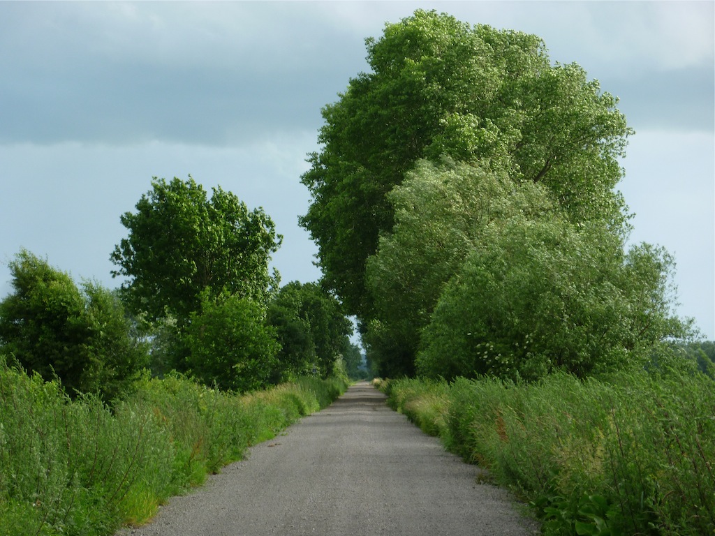 Der Graue Weg ins Grüne