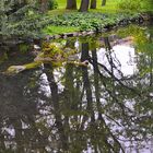 Der Grazer Stadtpark bietet viele Möglichkeiten.....