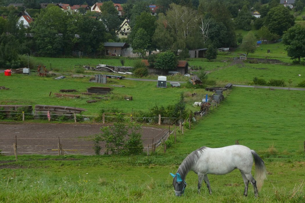 Der "greatest Cowboy" reitet keine Container