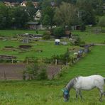 Der "greatest Cowboy" reitet keine Container