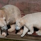 Der Gregor und die Mama ...