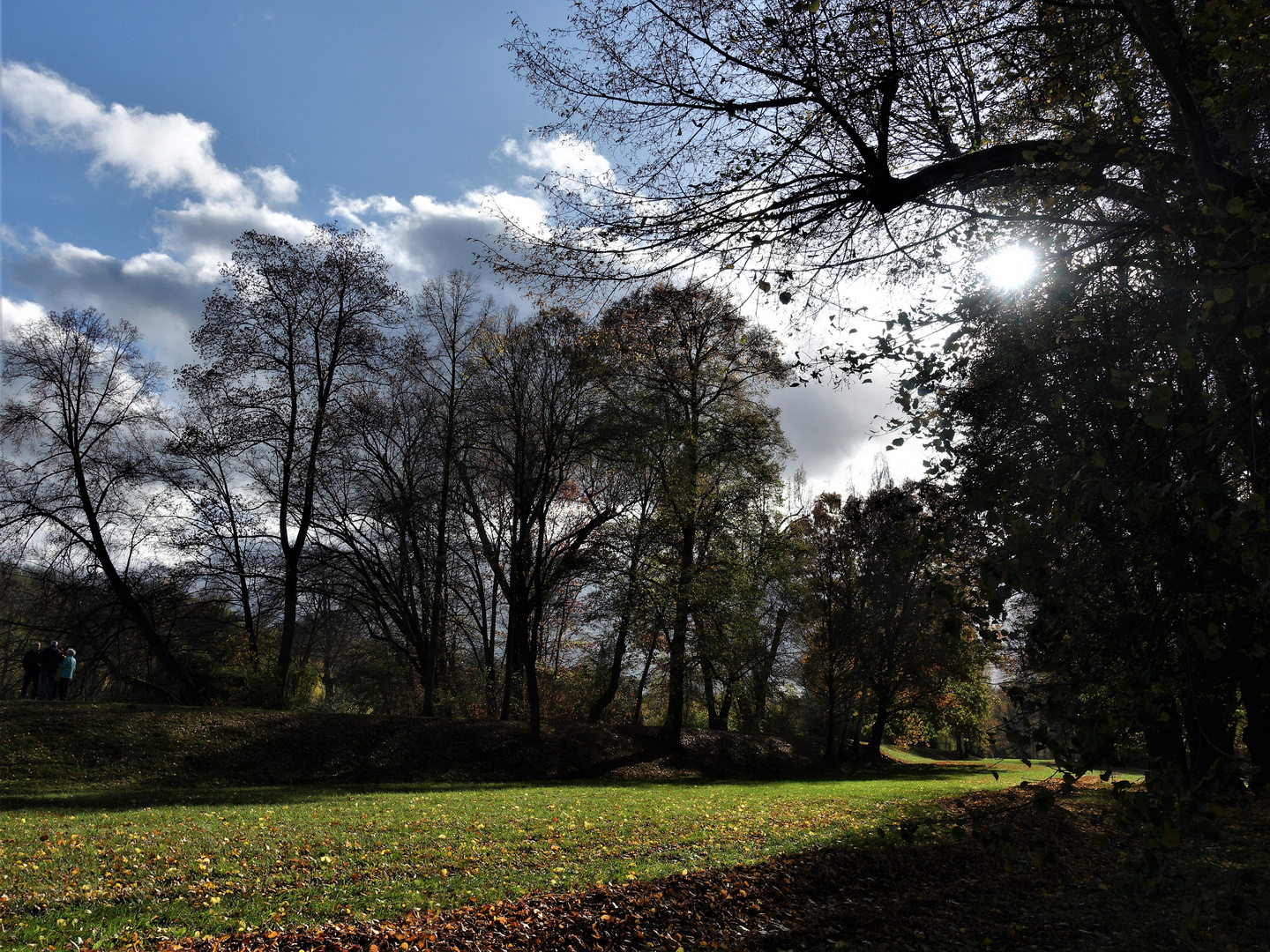 Der Greizer Park 