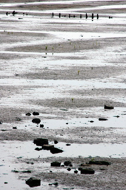 Der grenzenlose Übergang zwischen Land und Meer von Remie Ammeraal