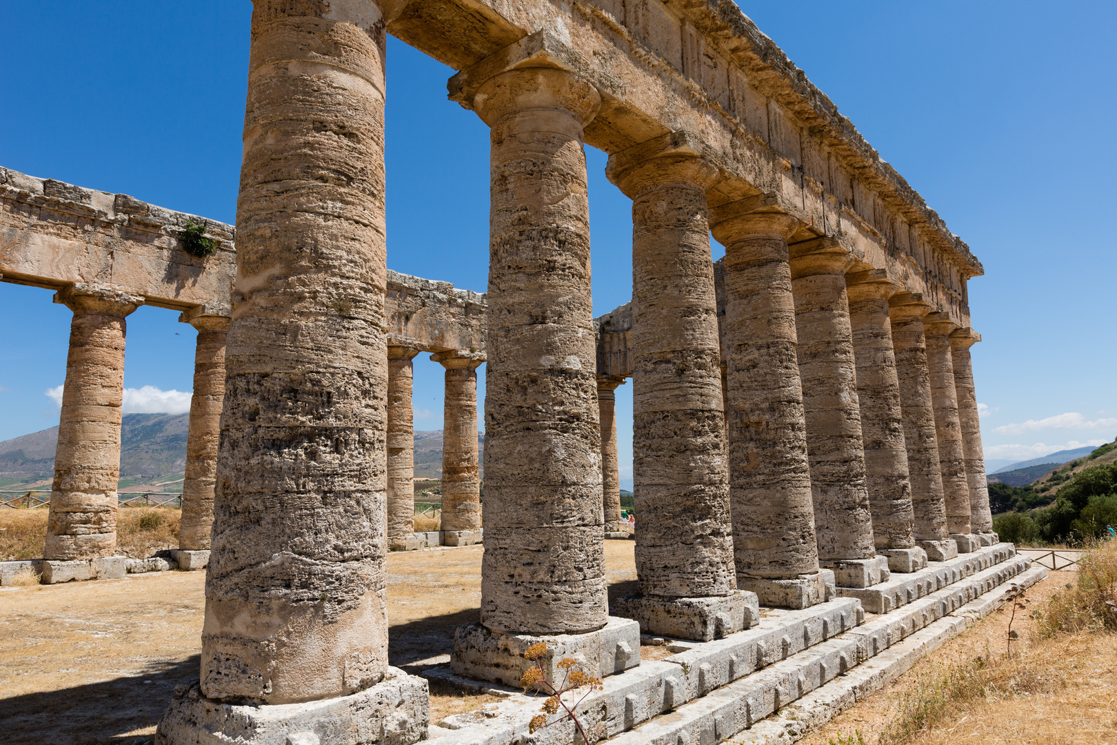 Der griechische Tempel von Segesta (2)