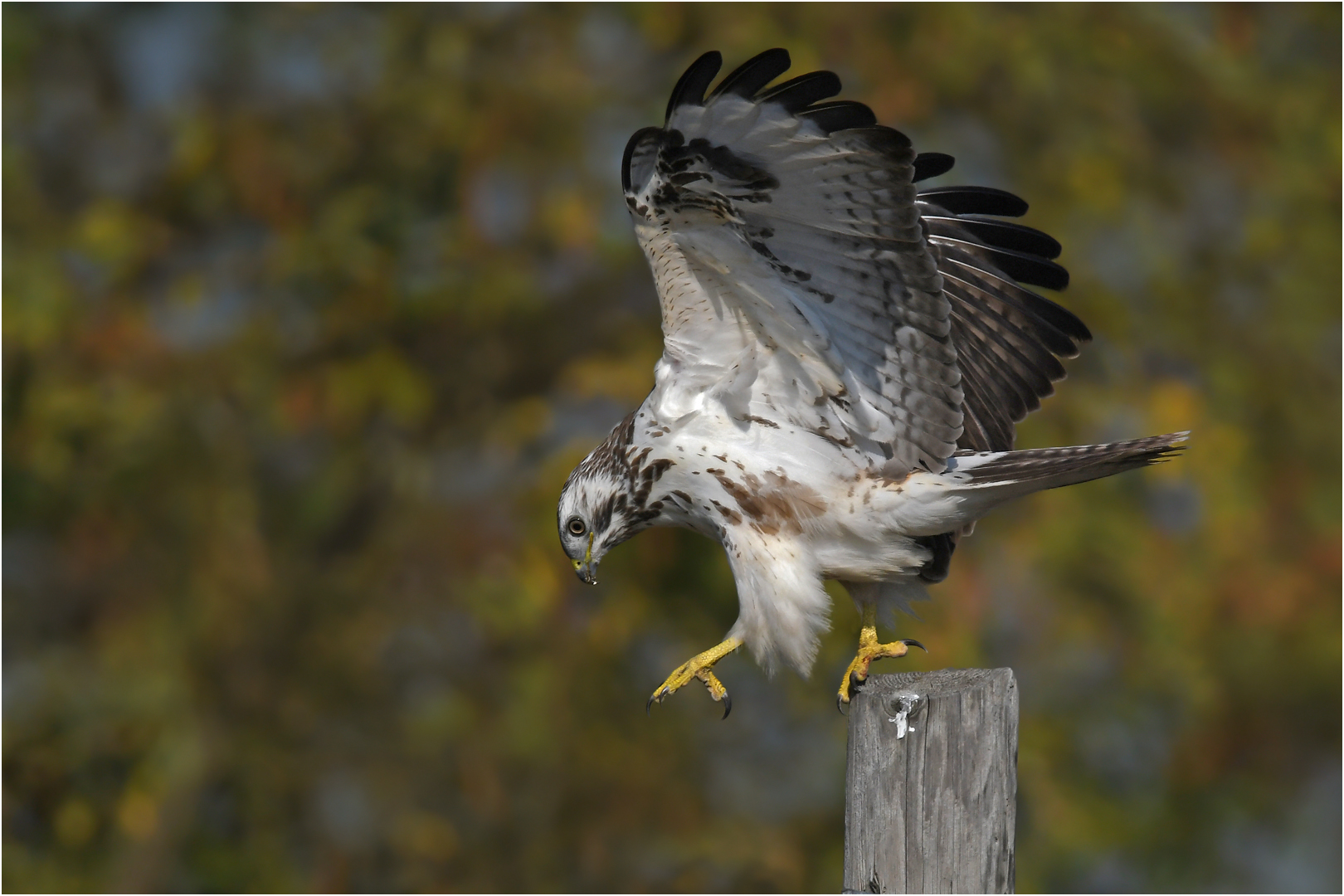 Der Griff ins Leere