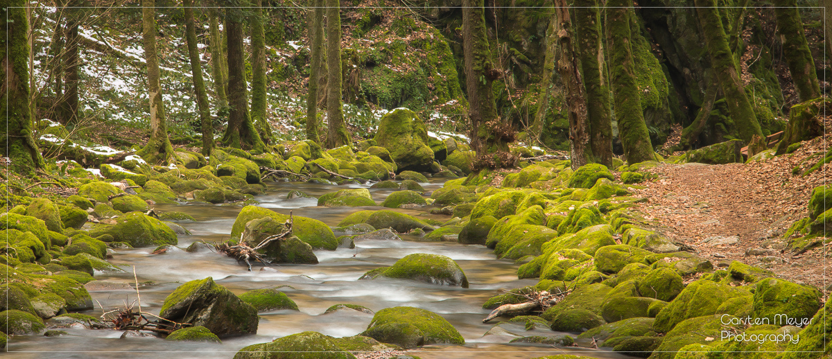 Der Grobbach bei Baden-Baden