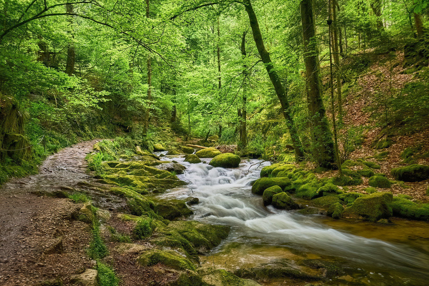 Der "Grobbach Wander-Trail" | Nord-Schwarzwald