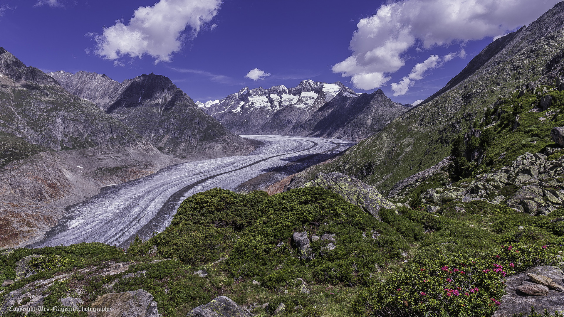 Der grösste Eisstrom der Alpen