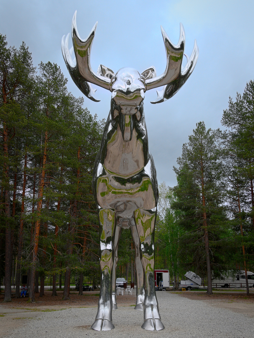 Der Grte Elch Der Welt Foto & Bild | Europe, Scandinavia, Norway