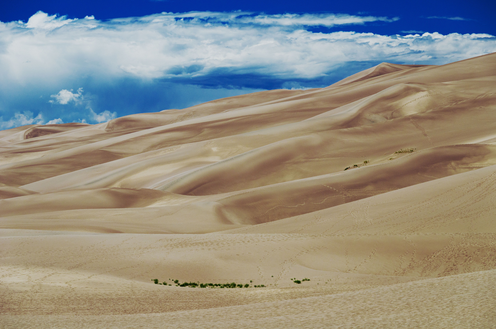 Der größte Sandkasten der USA (2)