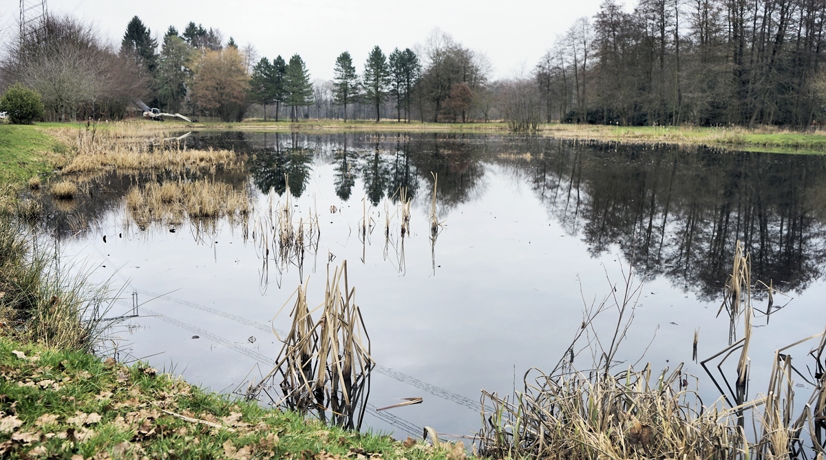 Der größte Seerosensee (es gibt noch  kleinere).