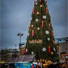 Der größte Weihnachtsbaum der Welt!