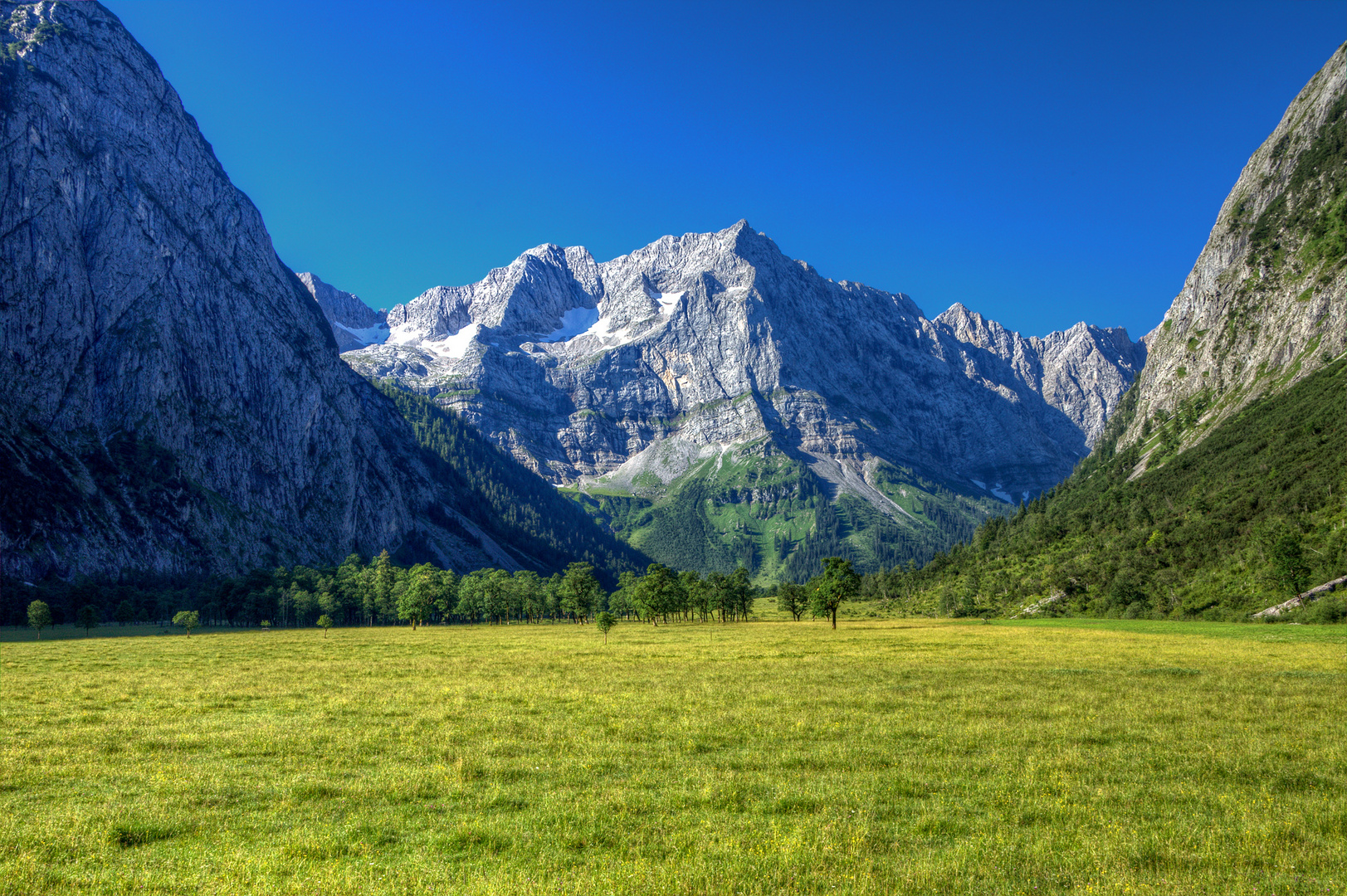 der große Ahornboden