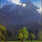 Der große Ahornboden im Karwendelgebirge