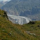 Der Grosse Aletschgletscher