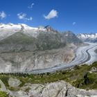 Der Große Aletschgletscher