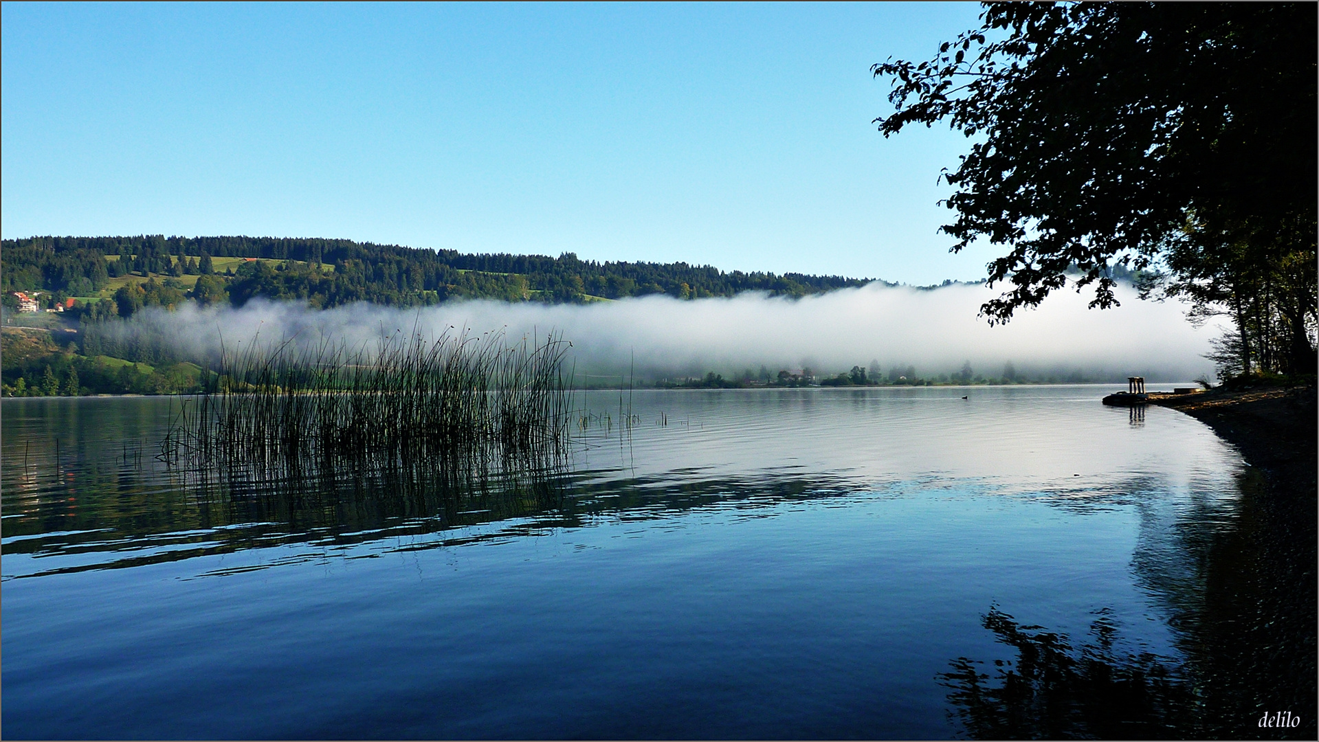 der große Alpsee am frühen Morgen