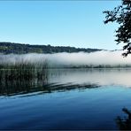 der große Alpsee am frühen Morgen