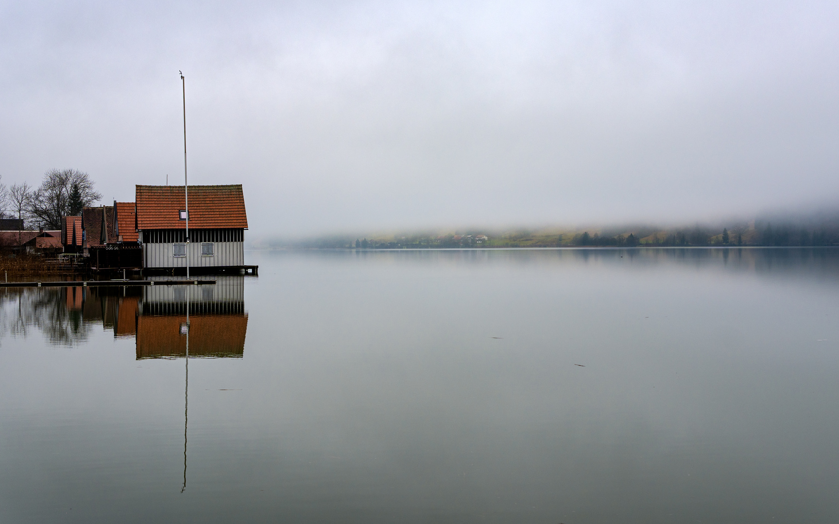 Der große Alpsee, ein Wintermorgen No 01