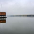 Der große Alpsee, ein Wintermorgen No 01