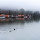 Der große Alpsee, ein Wintermorgen No 02