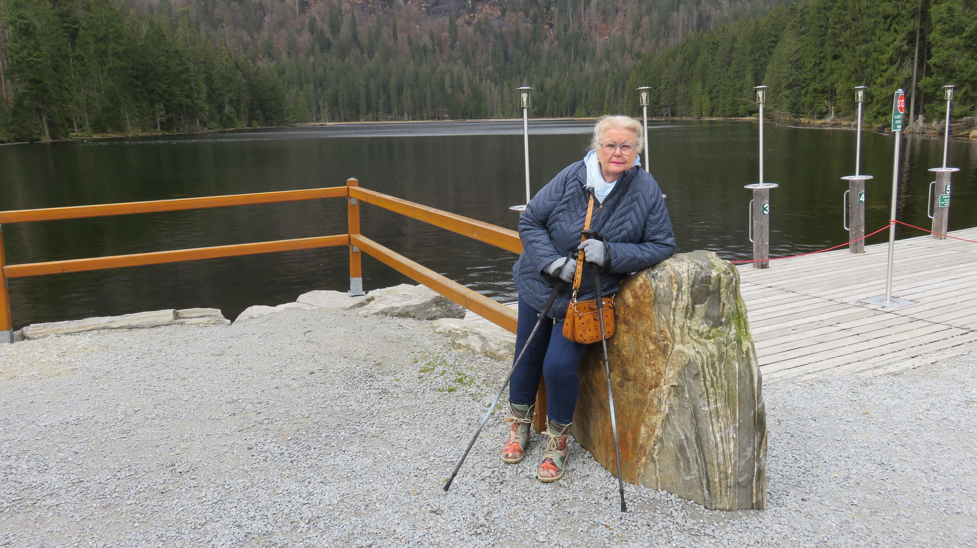 Der große Arbersee 