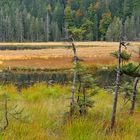 Der große Arbersee