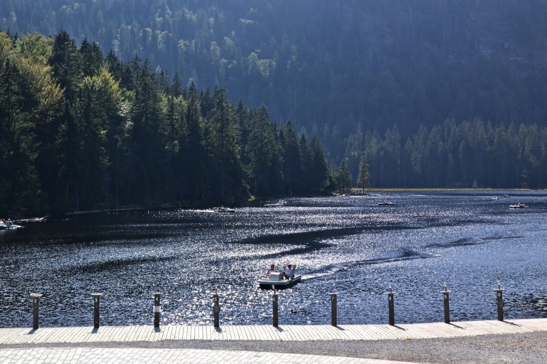 Der Große Arbersee im Gegenlicht