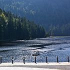 Der Große Arbersee im Gegenlicht