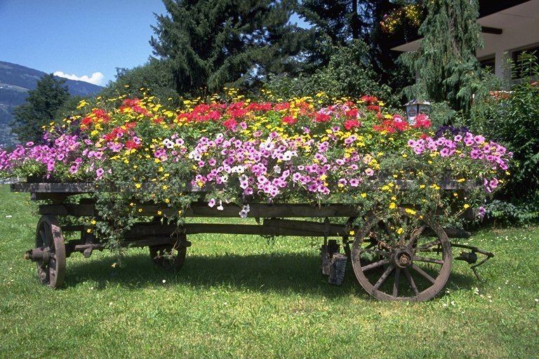 Der große Blumen_Wagen