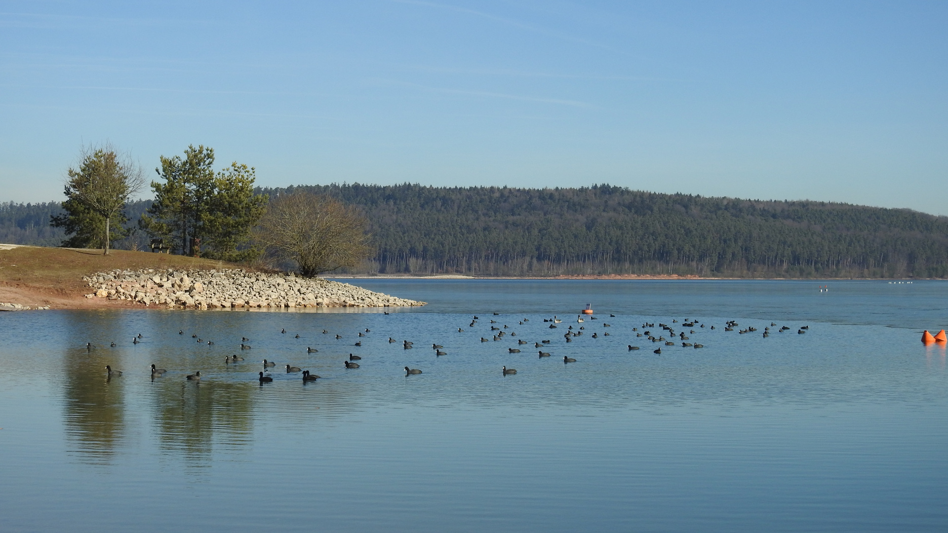 Der Große Brombachsee  