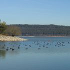 Der Große Brombachsee  