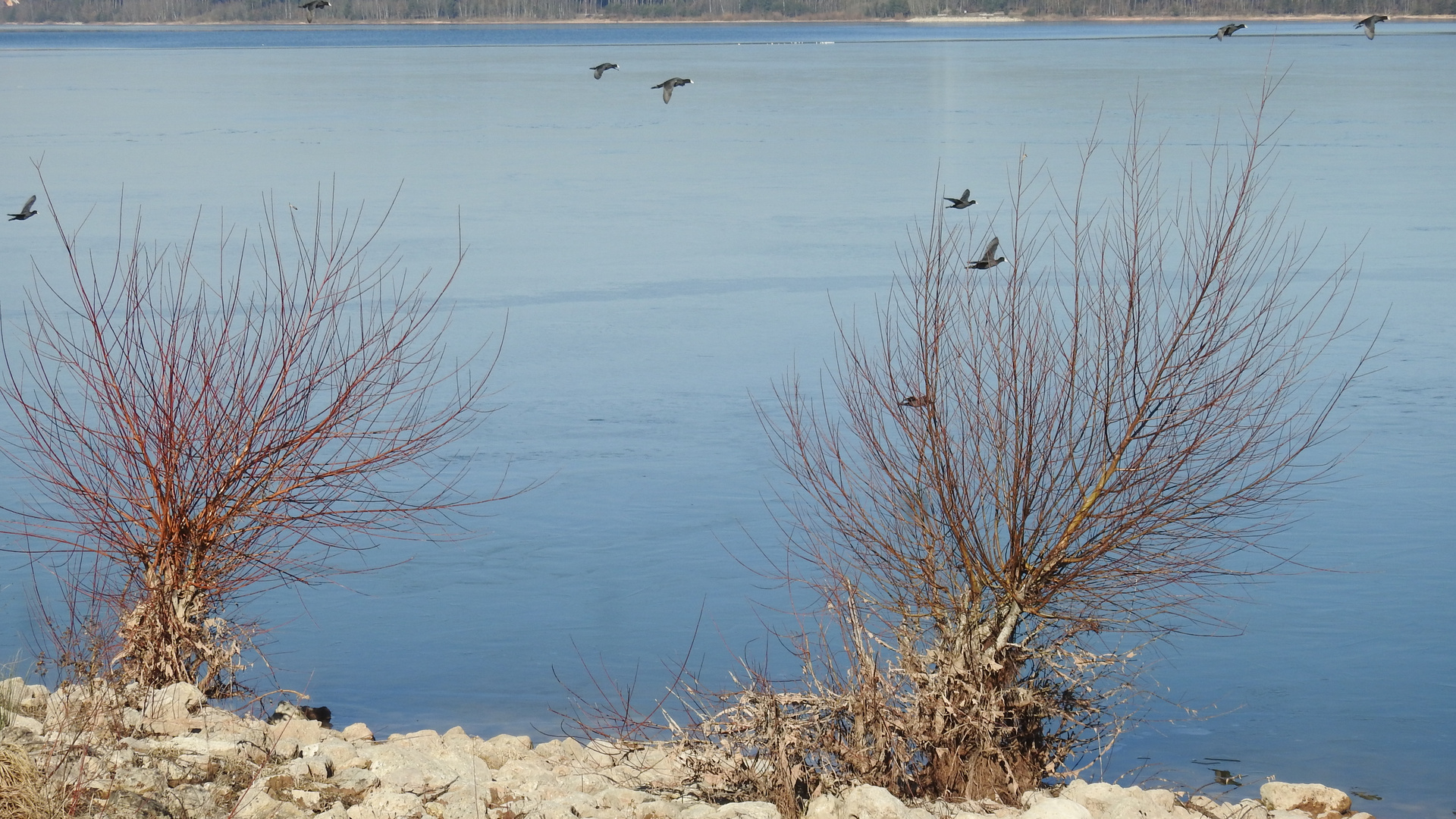 Der Große Brombachsee  