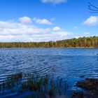 Der Große Bullensee