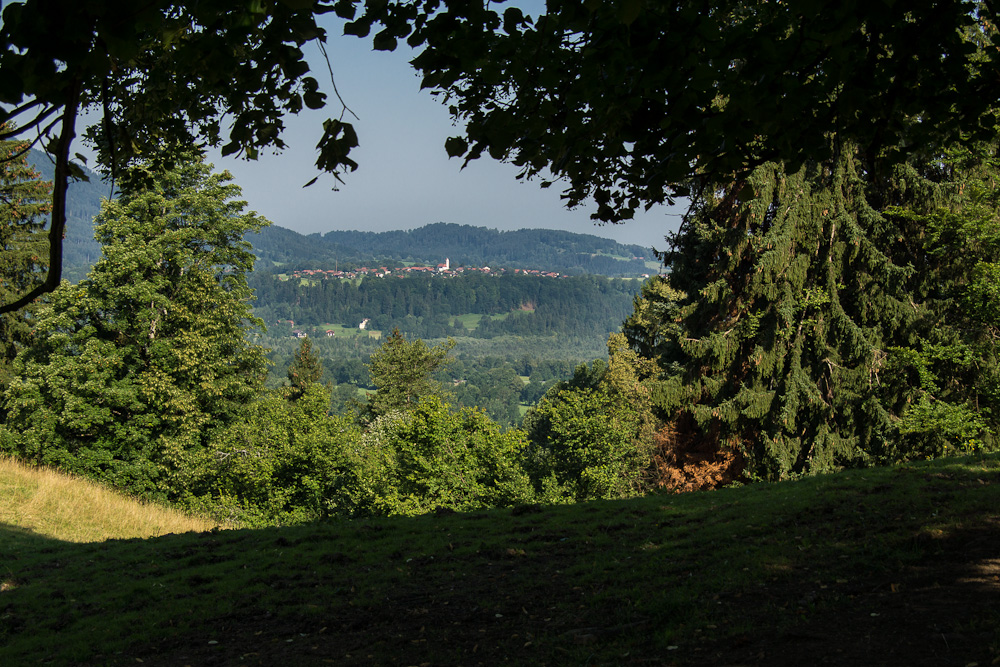 der große Durchblick