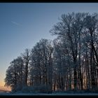 Der Große Feldberg