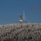 Der Große Feldberg