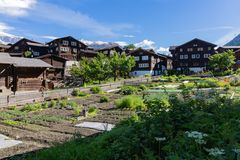 Der grosse Garten