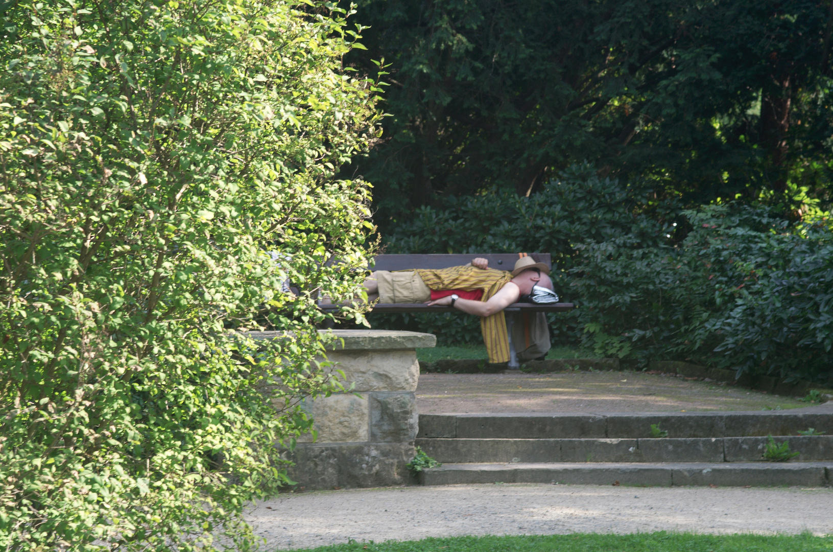 Der Große Gartenschläfer