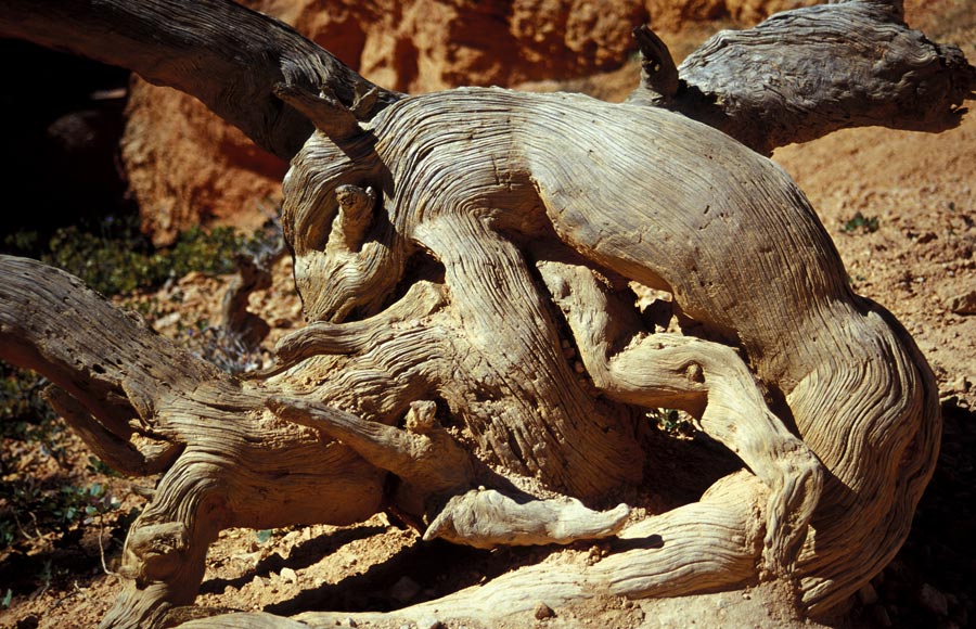 Der große Geist vom Bryce Canyon