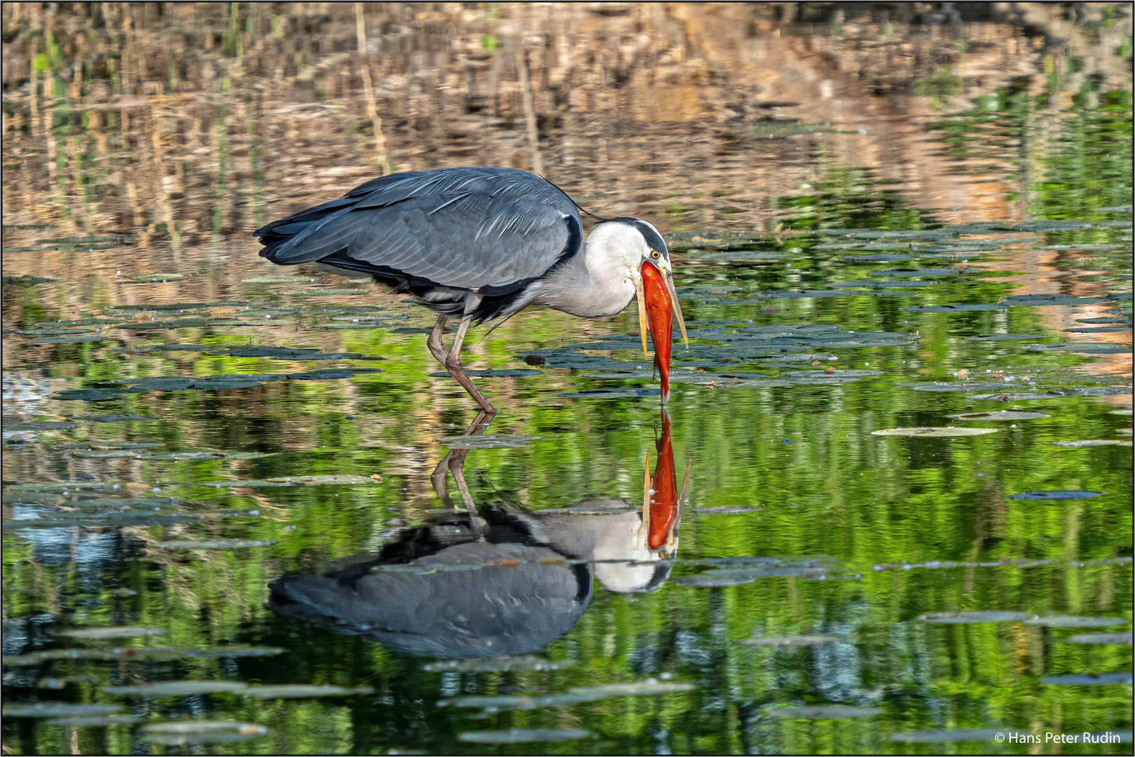 Der grosse Hunger