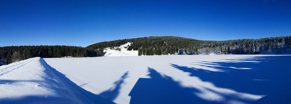 Der große Kellerhalsteich im Winter