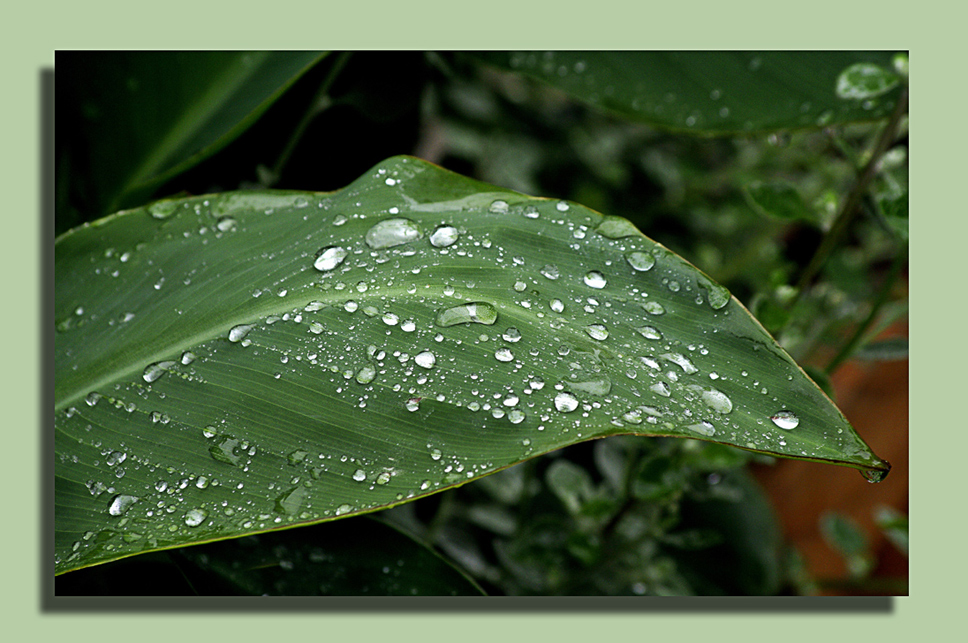 der große Regen