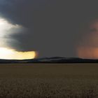 der große Regen in Pilzform...smile.